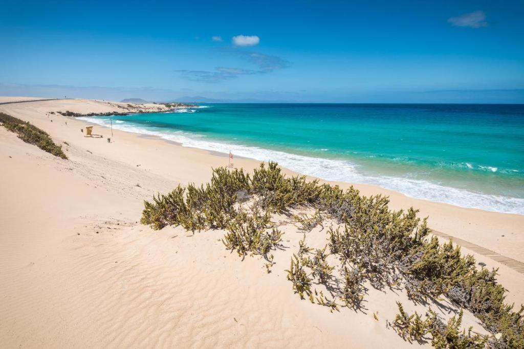 Los Majos Fuerteventura Tarajalejo Luaran gambar